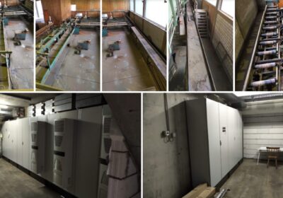 TOP complete saw line including log table