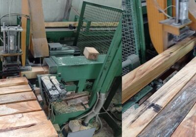 2010 OMEV crosscut saws
